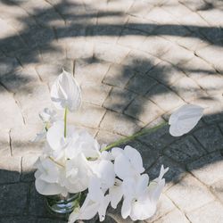 古我邸の写真31枚目