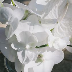 古我邸の写真16枚目