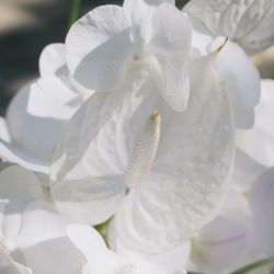 古我邸の写真3枚目