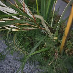 古我邸の写真18枚目
