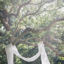 古我邸の写真16枚目