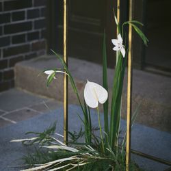 古我邸の写真24枚目