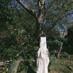 古我邸の写真19枚目