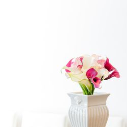 ノートルダム神戸の写真24枚目