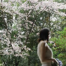 ザ ナンザンハウスの写真20枚目