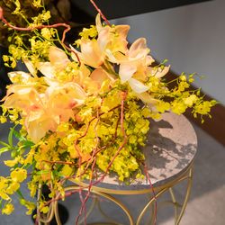 ラソールガーデン名古屋の写真1枚目