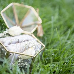 メゾン・ド・タカ 芦屋の写真32枚目