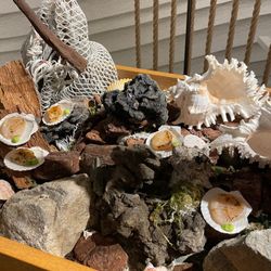 エネコ東京の写真8枚目