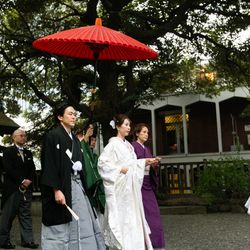 エネコ東京の写真32枚目