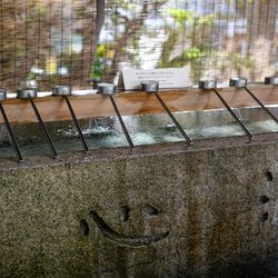 エネコ東京の写真33枚目