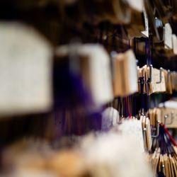 エネコ東京の写真2枚目