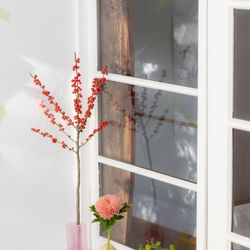 MAYAの写真10枚目