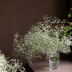 MAYAの写真8枚目