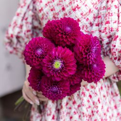 MAYAの写真27枚目