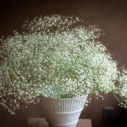 MAYAの写真1枚目