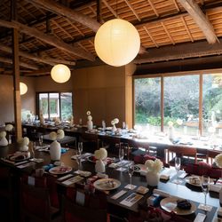 MAYAの写真15枚目