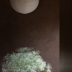 MAYAの写真32枚目