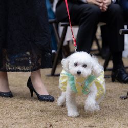 MAYAの写真29枚目