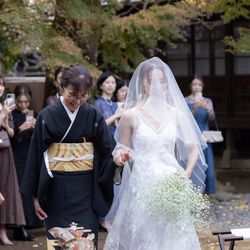 MAYAの写真36枚目