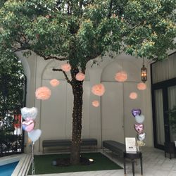 アーフェリーク白金の写真4枚目