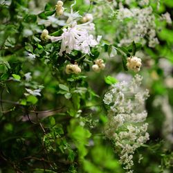 パレスホテル東京の写真5枚目