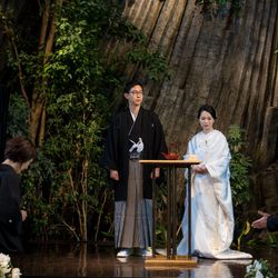 クラシカ表参道の写真35枚目