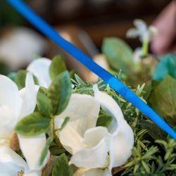 クラシカ表参道の写真13枚目