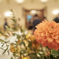 リストランテASOの写真2枚目