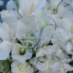 The South Harbor Resortの写真1枚目