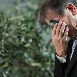 The South Harbor Resortの写真6枚目