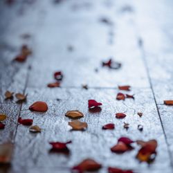 The South Harbor Resortの写真2枚目