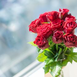 横浜ロイヤルパークホテルの写真31枚目