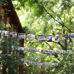 鶴見ノ森 迎賓館の写真36枚目