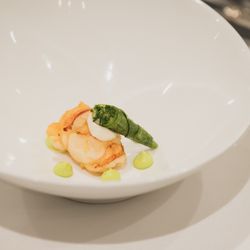 エネコ東京の写真33枚目