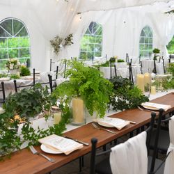 フェリーチェガーデン日比谷の写真24枚目