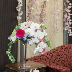 明治神宮・明治記念館の写真4枚目