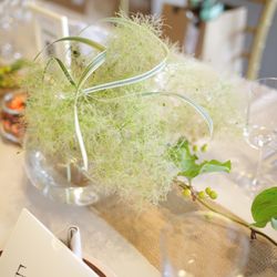 TOASTの写真16枚目