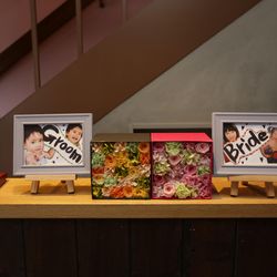 TOASTの写真31枚目