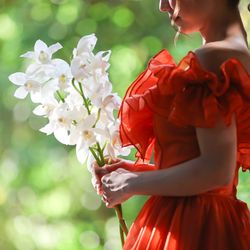 ザ ナンザンハウスの写真19枚目