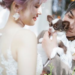 麻布迎賓館の写真14枚目