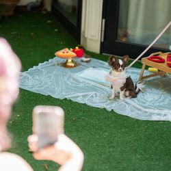 麻布迎賓館の写真35枚目