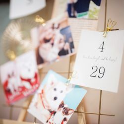 麻布迎賓館の写真30枚目