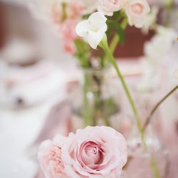 麻布迎賓館の写真21枚目