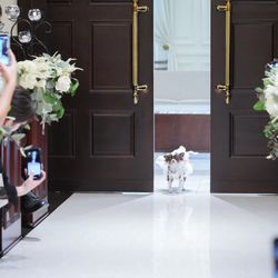 麻布迎賓館の写真1枚目