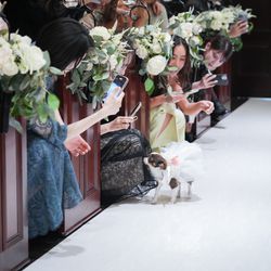 麻布迎賓館の写真3枚目