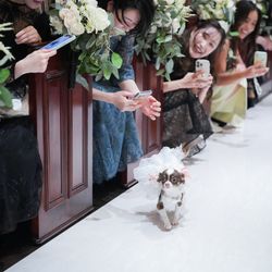 麻布迎賓館の写真16枚目