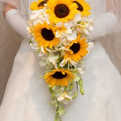 伊勢山ヒルズの写真25枚目