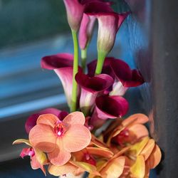 ザ・ガーデンオリエンタル大阪の写真27枚目