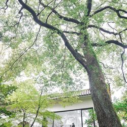 ザ ナンザンハウスの写真14枚目