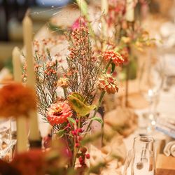 ザ ナンザンハウスの写真6枚目